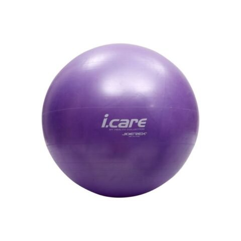 Joerex I Care Gym Ball 65CM J6505 Purple