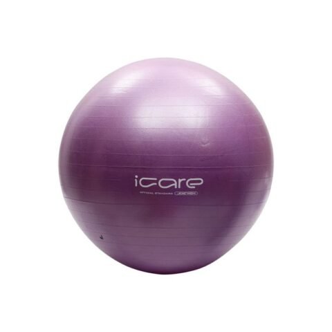 Mesuca Gym Ball Red JIC081