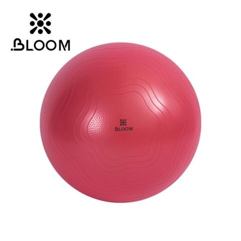 Bloom Yoga Ball 55CM LB7051 – Exercise & Stability Ball for Yoga, Pilates, Core Strength, Balance & Fitness