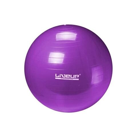 LiveUp Anti-Burst Gym Ball 75CM LS3222 Grey