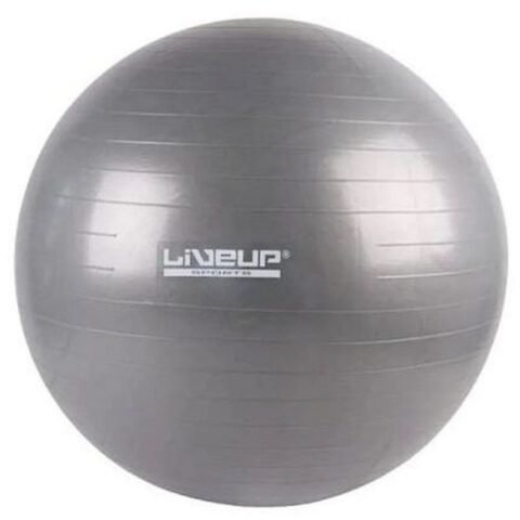 LiveUp Anti-Burst Gym Ball LS3222 65CM