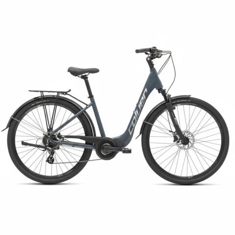 Coluer Greenland City Bike Dark Gray