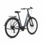 Coluer Greenland City Bike Dark Gray view 4