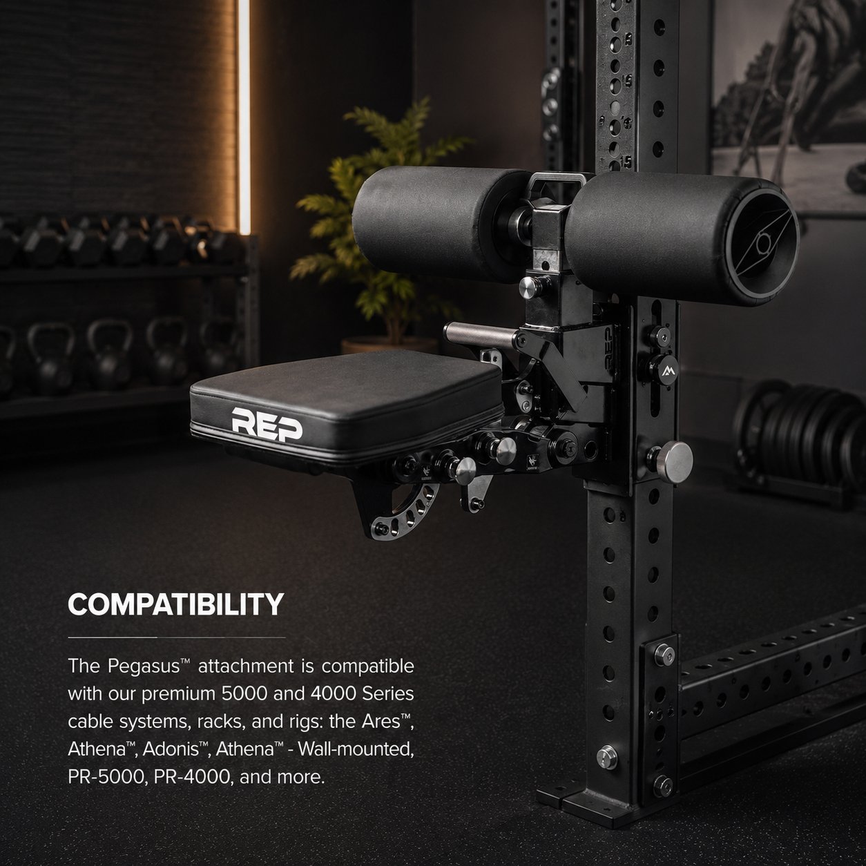REP Fitness Pegasus Seat and Upright Attachment REP-PRA-5750 view 2