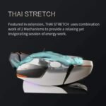 ROTAI Lambo Luxury 3D Dual Mechanism Massage Chair view 3