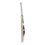 SG Sunny Tonny Icon Black English Willow Cricket Bat SG01CR130202 view 3