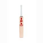 SG Arc English Willow Cricket Bat view 2