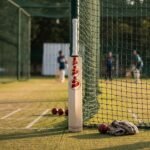 SG Arc English Willow Cricket Bat view 4