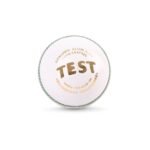 SG Test Cricket Leather Ball White SG01DI280022