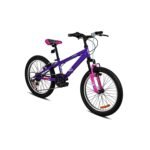 Spartan 20-Inch Cypher Kids Bike Cosmic Purple SP-3228 view 2