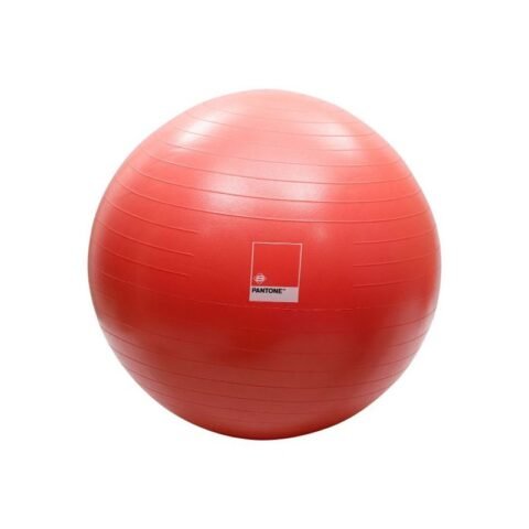 Pantone Gym Ball Set (Anti-Burst) Living Coral Spk8884