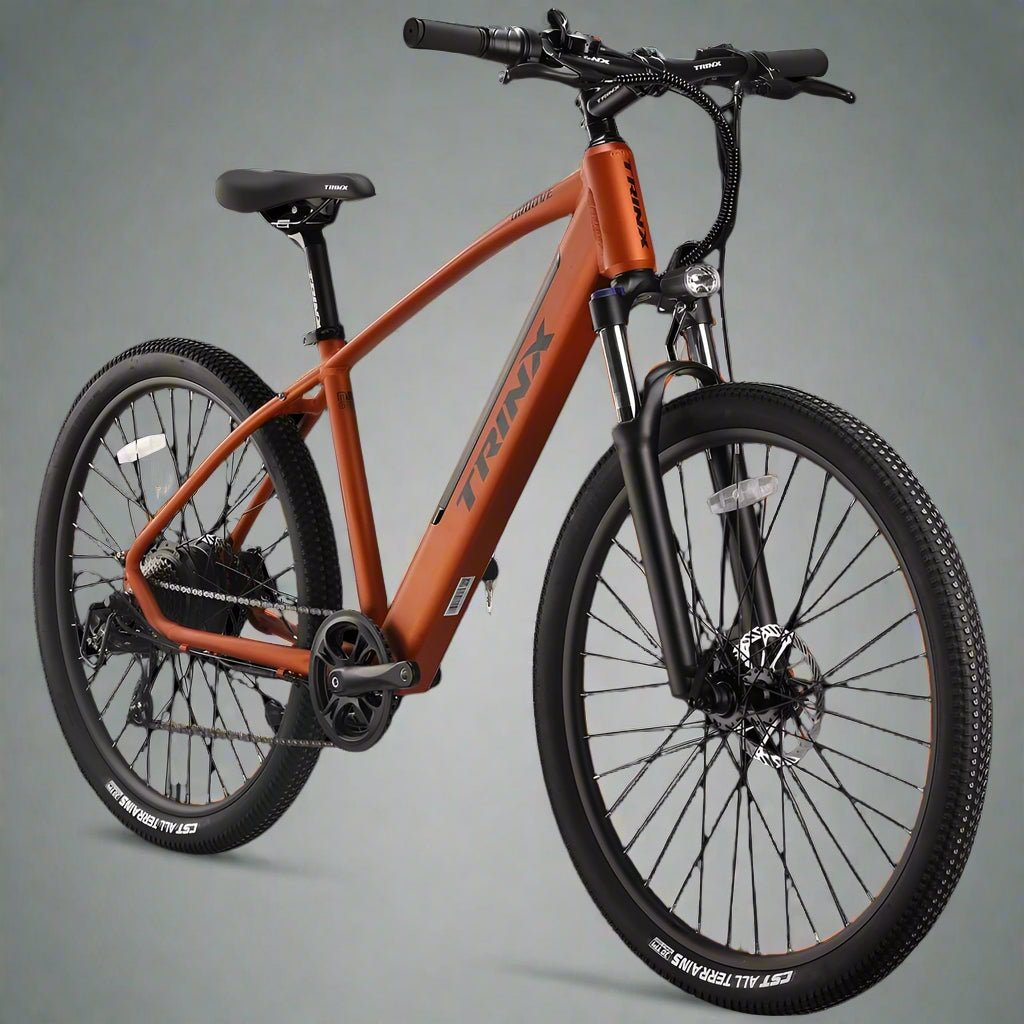 Trinx Groove Electric Bike view 2