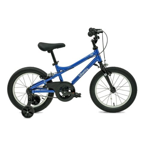 Whimsy Pro 16 Inch Kids Bike