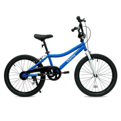 Whimsy Classic 20 Inch Kids Bike
