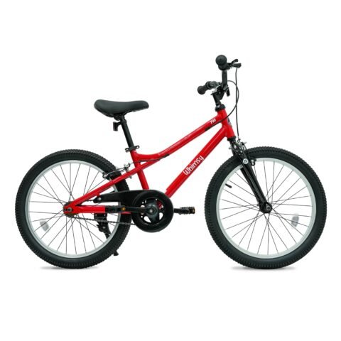 Whimsy Pro 20 Inch Kids Bike