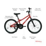 Whimsy Pro 20 Inch Kids Bike view 3