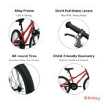 Whimsy Pro 20 Inch Kids Bike view 4