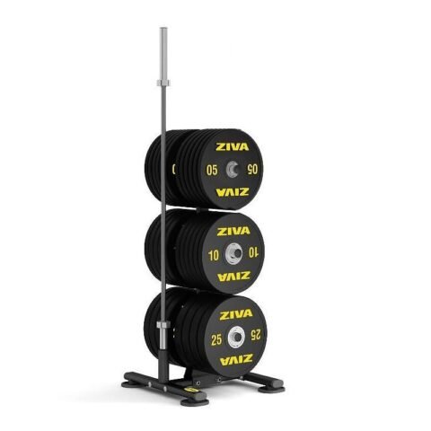 Ziva Disc Storage Rack