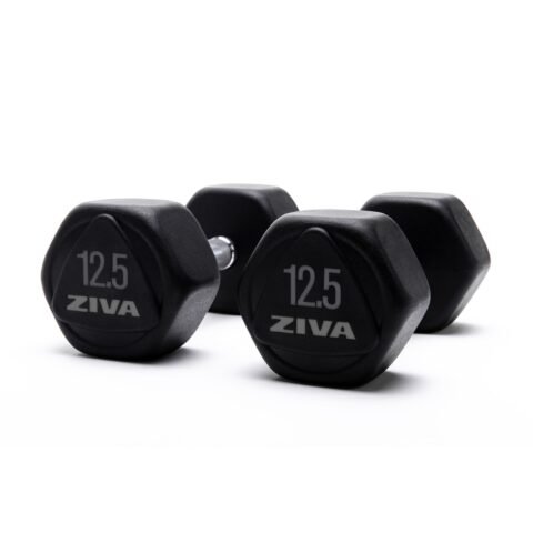 Ziva Performance Hexagon Rubber Dumbbell Grey 12.5 kg