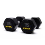 Ziva Performance Hexagon Steel Dumbbells Pair