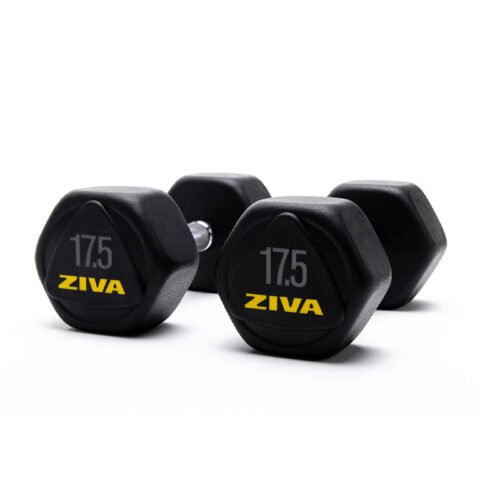 Ziva Performance Hexagon Steel Dumbbells Pair