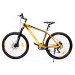 Zyklus Turbo 36 Mountain Bikes view 2