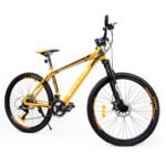 Zyklus Turbo 36 Mountain Bikes view 3
