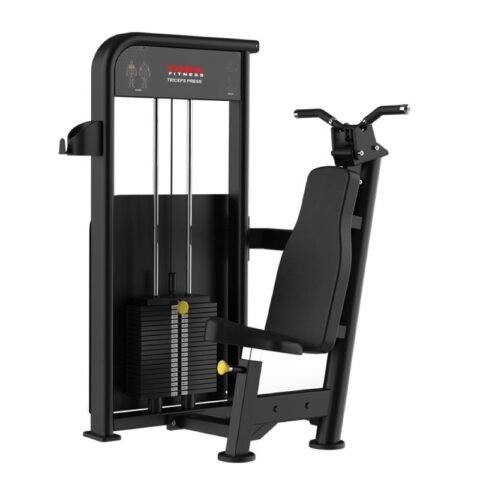 York Triceps Press Machine