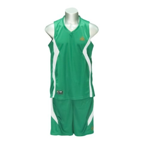 PEAK Basketball Uniform F732121 Triumph Green
