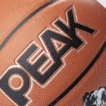 PEAK PU Basketball Q1224030 Brown view 2