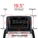 PowerMax TA-C5 Premium Commercial AC Motorized Treadmill