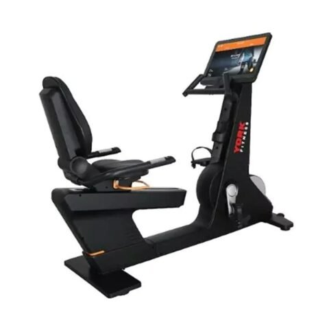 York Fitness Recumbent Bike 13030530-101